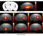 Using Resting-State Functional MRI for Fine-Grained Mapping of Mouse Brain Functional Connectivity
