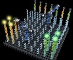 DNA robot sorts molecules without external input