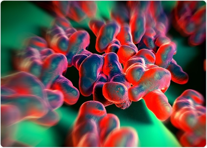 3d rendering - campylobacter jejuni bacteria. Image Credit: royaltystockphoto.com / Shutterstock
