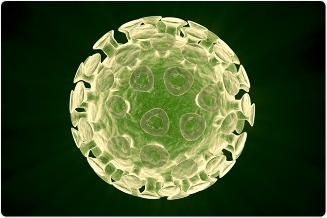 Hepatitis C virus, 3D illustration. Image Credit: Maryna Olyak / Shutterstock