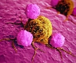 Researchers uncover small molecule that plays key role in protecting against cancer