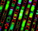 Researchers sequence human genome using pocket-sized device