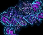 Scientists identify molecular key that opens up compacted genome