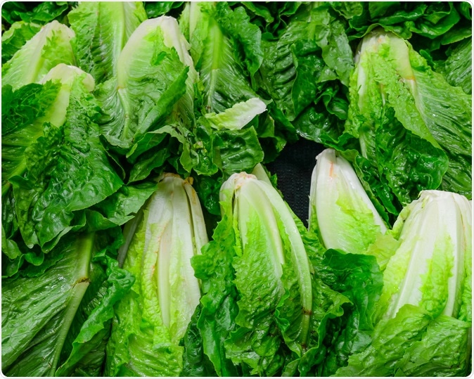 Romaine lettuce - Image Credit: Trong Nguyen / Shutterstock