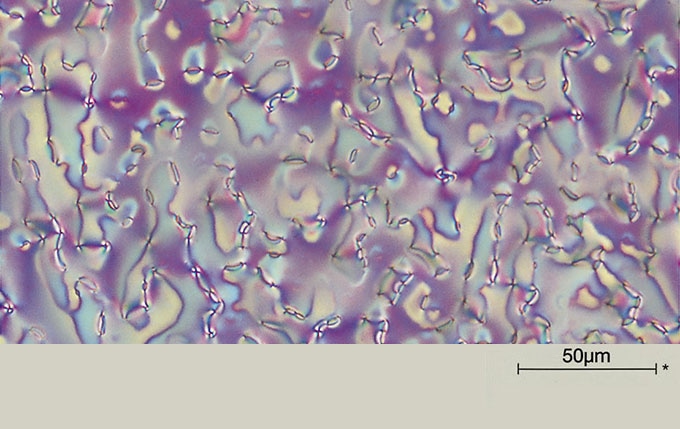 Optical texture of MBBA *Scales Indicate actual size of samples