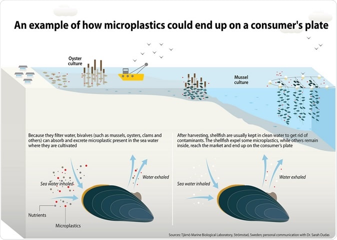 An example of how microplastics could end up on a consumer