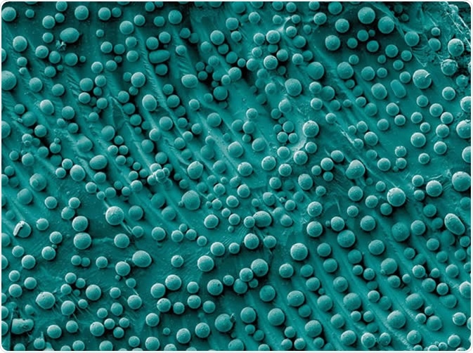This is an electron micrograph showing gallium arsenide nanoparticles of varying shapes and sizes. Image Credit: A. Demotiere and E. Shevchenko/Argonne National Laboratory