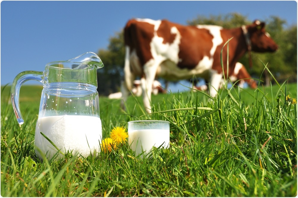 Cows milk in jug with cows in background - By Alexander Chaikin