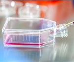 Common Problems in Cell Culture
