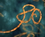 DNA vaccine shown to provide long-term protection from Ebola