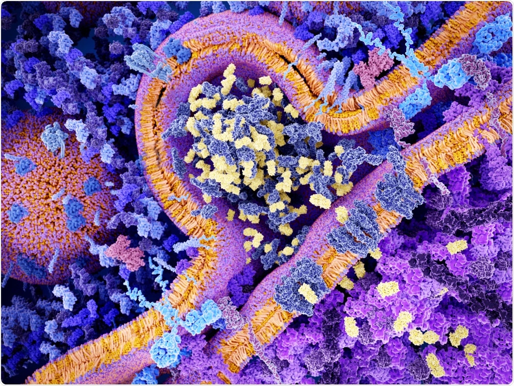 By Juan Gaertner - Chimeric antigen receptor therapy, CAR molecules (light blue) bind to CD19 molecules on a leukemia cell leading to segregation of granzyme vesicles (yellow) that activate the apoptosis, 3d renderi