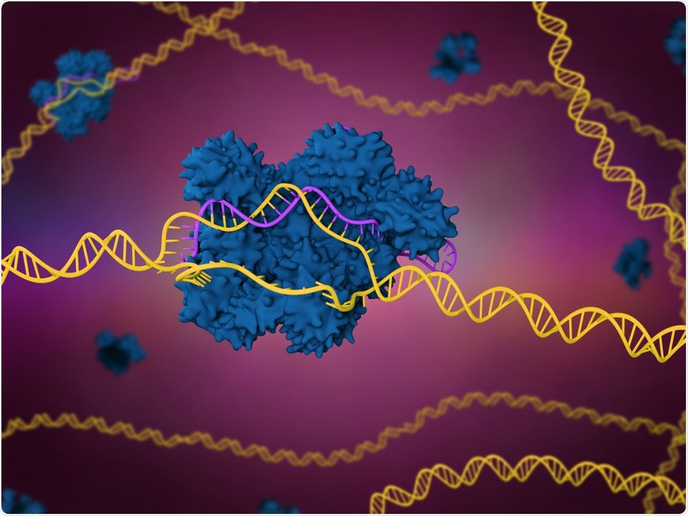 Illustration of CRISPR-Cas9 gene editing - Meletios Verras
