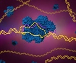 Researchers use CRISPR-Cas9 to prevent congenital disease in utero