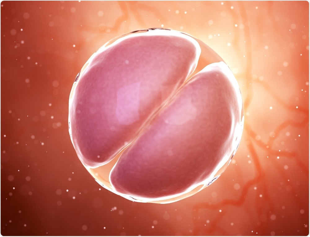 Embryo - Sebastian Kaulitzki