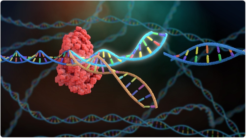 CRISPR-Cas9 in action - by Nathan Devery