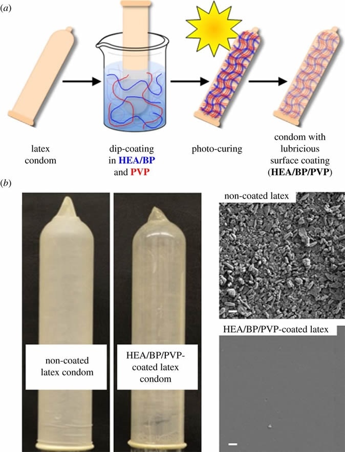 Latex surface modification to afford a hydrophilic, lubricious thin polymer coating. (a) The coating scheme is comprised of polymer entrapment of lubricious PVP within macroinitiator HEA/BP, followed by exposure to light activation and chemical cross-linking among HEA/BP, PVP and the latex surface. (b) Photographs of non-coated and coated latex condoms. (c) Scanning electron micrographs of non-coated and coated latex; scale bar, 1 µm.