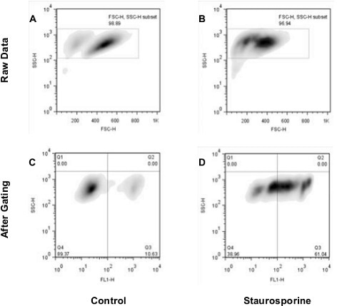 Nuclear Condensation Assay Kit (ab139479):  Flow cytometry analysis of untreated staurosporine-treated Jurkat cells.  The raw data shown in panels A and B was used for gating cell populations (rectangles) for analysis.  Panels C and D represent the separation of healthy and apoptotic nuclei based on their characteristic fluorescence.