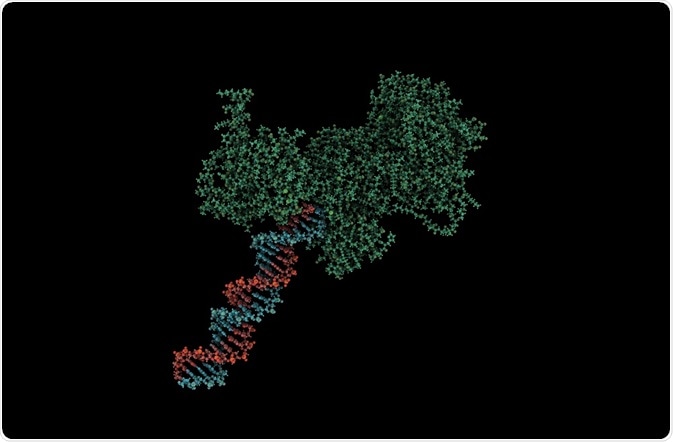 DNA (red and blue) being manipulated by a PARP inhibitor (green) - Molekuul_be