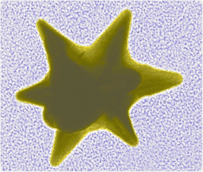 Transmission electron microscope (TEM) image of a star-shaped gold nanoparticle
