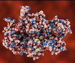New tool can help researchers split and reassemble proteins