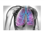 Basophils play key role in development of macrophages in the lung