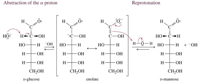 Figure 6 An Epimerisation reaction. This reaction intermediate is an enolate, the conjugate base of the enediol. In this example, D-glucose may be converted into D-mannose via the removal of hydrogen at C2 carbon followed by addition of hydrogen across the