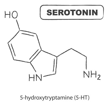 Chemical structure of Serotonin, the happiness hormone. 5-hydroxytryptamine (5-HT) monoamine neurotransmitter. Image Credit: Perception7 / Shutterstock