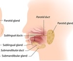 Benign Salivary Gland Tumors