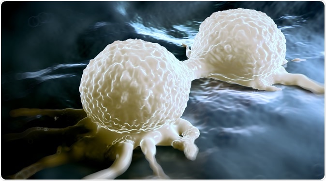 Dividing breast cancer cell. Image Credit: royaltystockphoto.com / Shutterstock