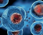 Does the Source of a Stem Cell Change Its Properties?