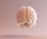 Scientist uncovers hidden region of the human brain