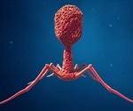 Phage Display Explained