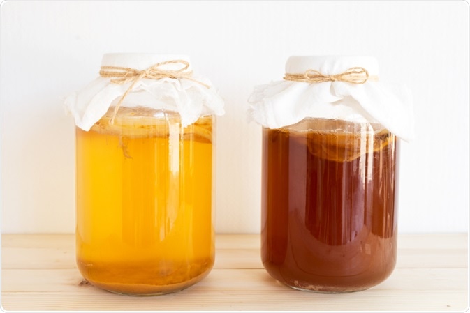Kombucha early and late cultures - By P-fotography