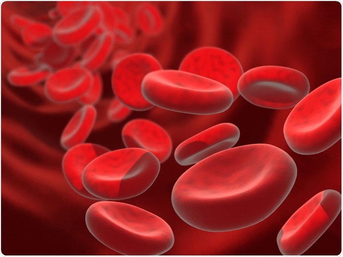 Red blood cells after hematopoiesis - By YAKOBCHUK VASYL
