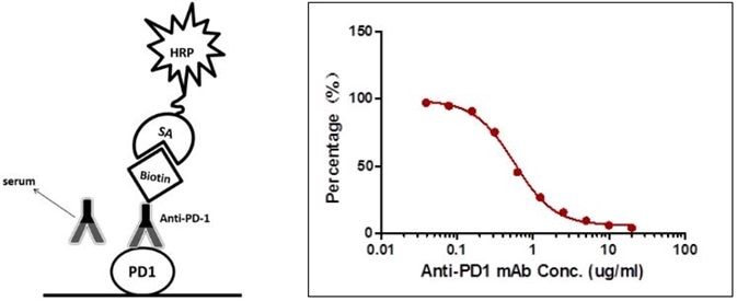 Detection of PD-1 antibody by antibody-directed competitive ELISA.