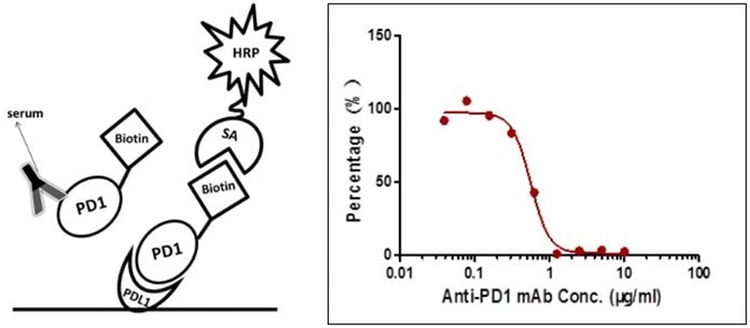 Detection of PD-1 antibody by ligand-directed competitive ELISA.