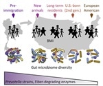 Migration affects gut microbiota which in turn affects health find researchers