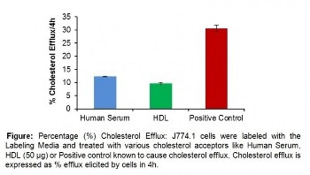 Cell-Based Cholesterol Efflux Fluorometric Assay Kit