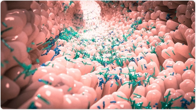 Microbiome in human gut. Image Credit: Alpha Tauri 3D Graphics / Shutterstock