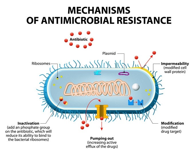 Main mechanisms by which microorganisms exhibit resistance to antimicrobials. Image Credit: Designua / Shutterstock