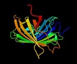 What are Fluorescent Proteins?