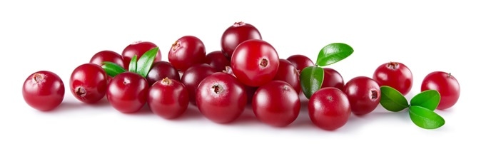 Cranberries, a natural source of mannose. Image Credit: Tim UR / Shutterstock