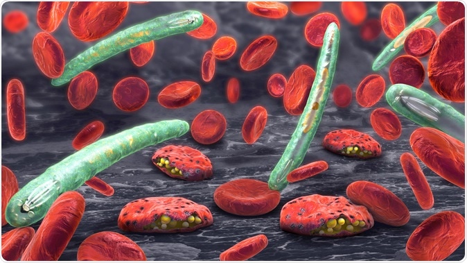 3d illustration of blood cells, plasmodium causing malaria illness. Image Credit: Christoph Burgstedt / Shutterstock