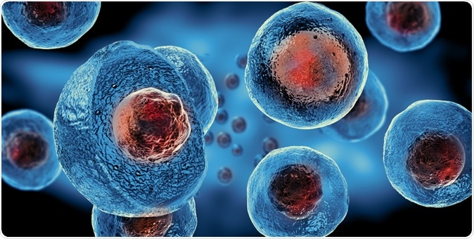 Stem cells - 3d illustration. Image Credit: Giovanni Cancemi / Shutterstock