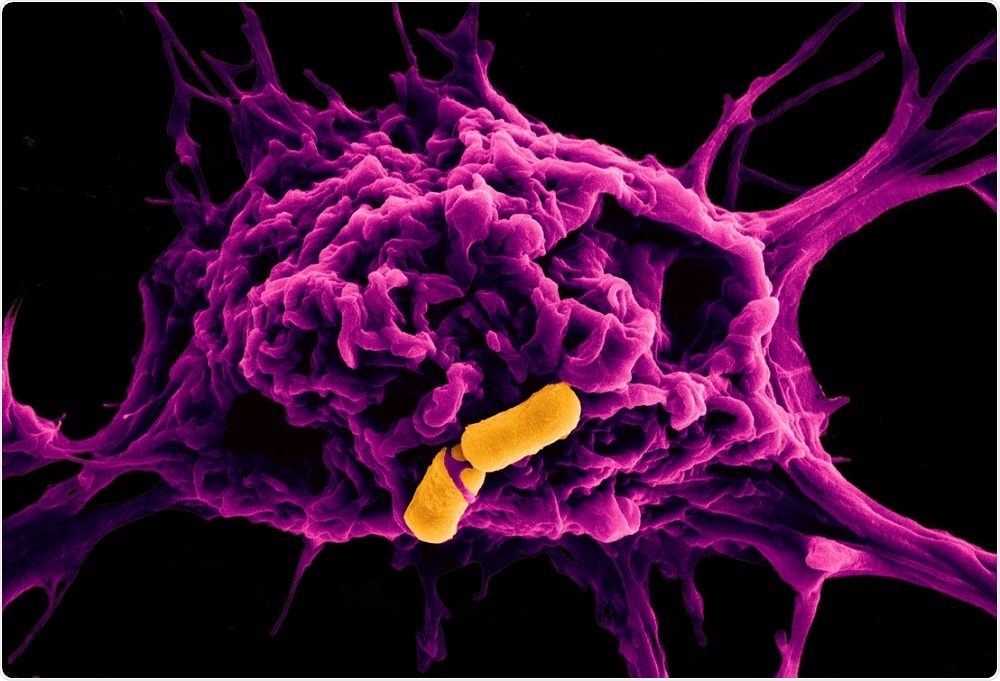 Bacteria with antibiotic - Australian University