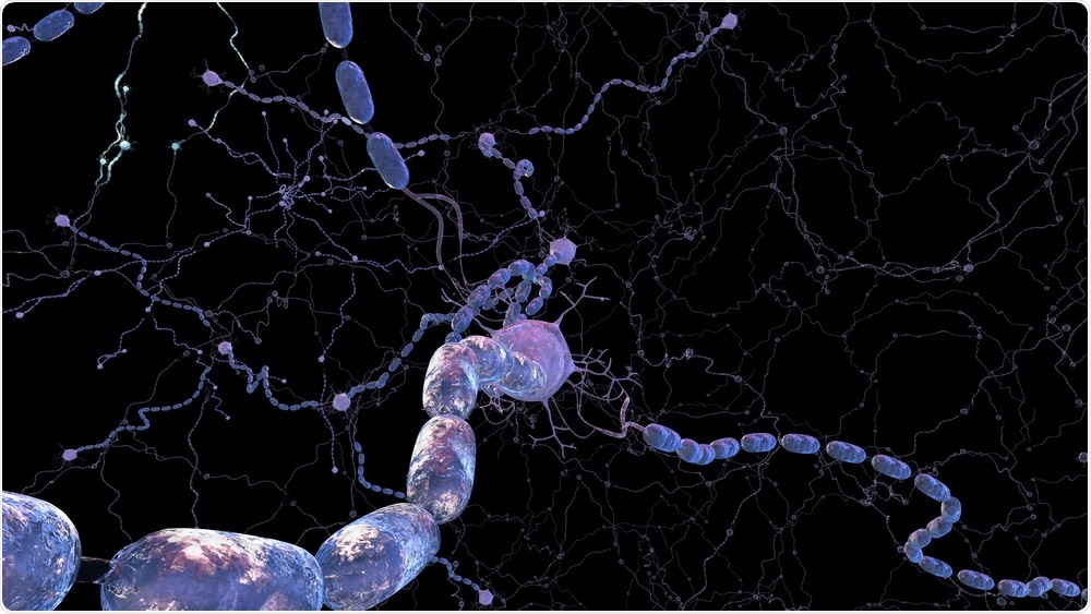 Células nerviosas Myelinated - por el estudio creativo 3Dme