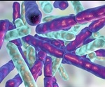 Probiotics may offer therapeutic benefits for biopolar patients