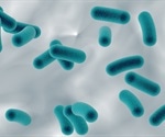 Researchers find evidence of epigenetics in single-celled archaea