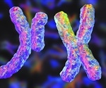 Geneticists discover how sex-linked disorders arise