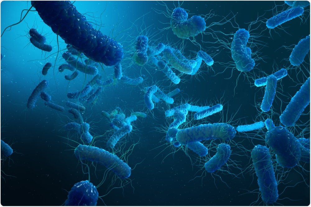 Yersinia pestis bacterium - an illustration by Rost9